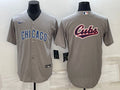 Men’s Chicago Cubs Gray Road Team Jersey