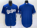Men’s Los Angeles Dodgers Royal Blank Jersey